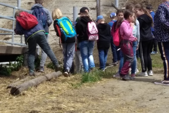 Exkurze žáků na farmě Vařejkův dvůr 1