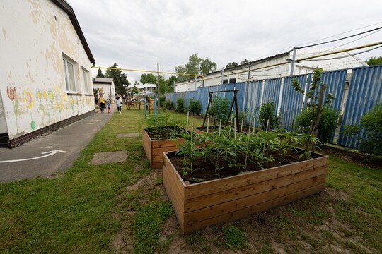 Díky podpoře společnosti Lidl se v Šenově otevírá nová jedlá školní zahrada 1