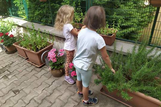 Malí zahradníci 1