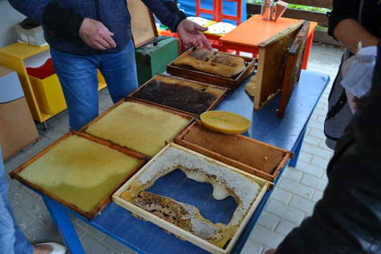 Včelí dny - farmářský trh 1