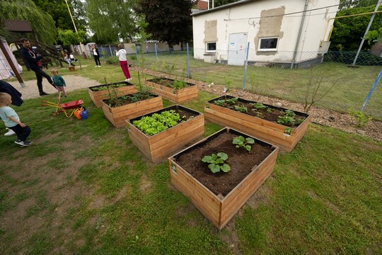 Díky podpoře společnosti Lidl se v Šenově otevírá nová jedlá školní zahrada 1