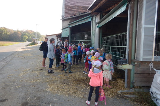 Exkurze na rodinnou farmu Mikoláš Krhanice 1