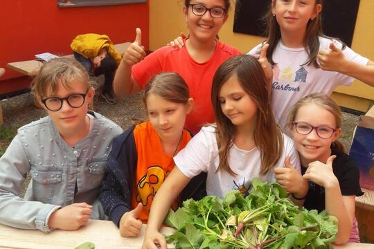 Díky podpoře společnosti Lidl se v Praze – Stodůlkách otevírá nová jedlá školní zahrada 1