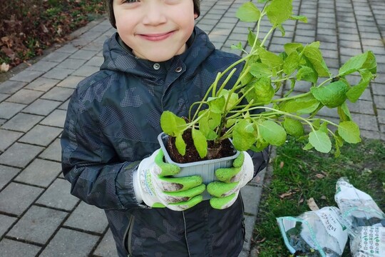 JARNÍ AKCE NA ZAHRADĚ S RODIČI - tvoříme jedlou zahradu 1