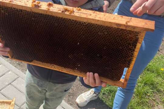 Návštěva včelaře  1