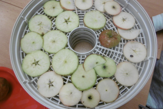 Sušíme jablíčka 1