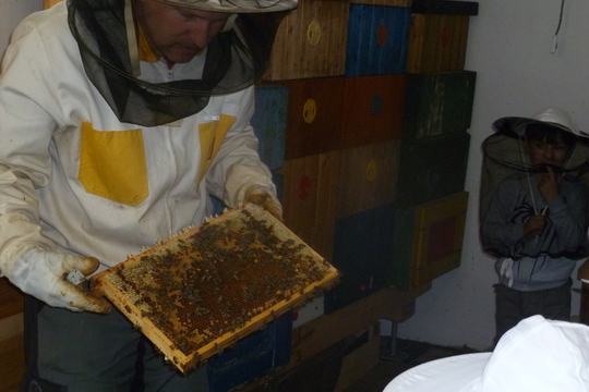 Návštěva u včelaře 1