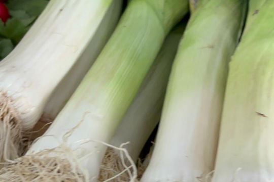 Farmářský obchod  1