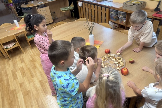 Zdravá pochoutka z jablek 1