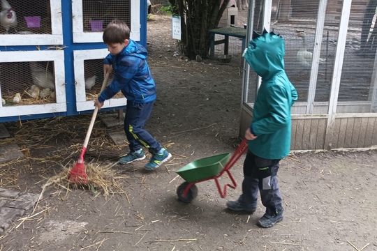 Farma s domácími zvířaty – Duběnka 1