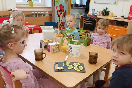 S bylinkami proti rýmě 1