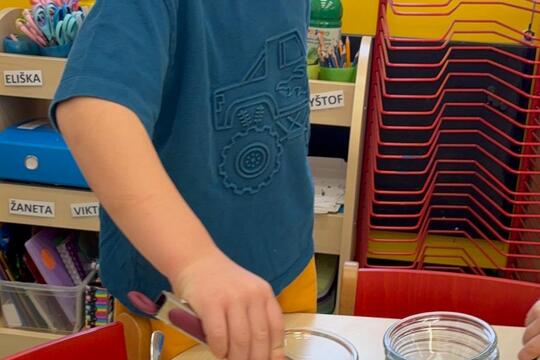 Vlastní rozhodnutí - vlastní salát  1