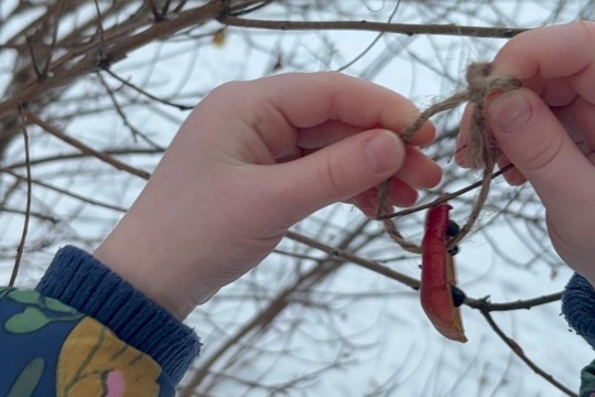 Vnímáme přírodu  1