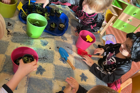 Péče o bylinky z hydroponické zahrádky Péče o bylinky z hydroponické zahrádky 1