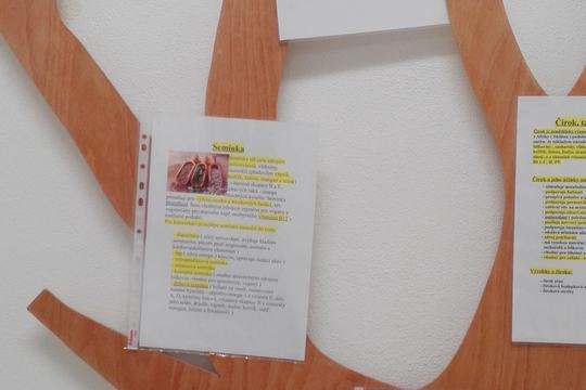 Naše zdravé nástěnky 1