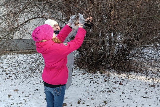 Ptačí hodinka Ptačí hodinka 1
