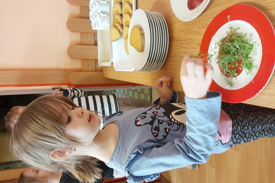 Jak přivoláme jaro? 1