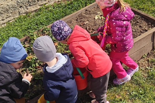 Bylinková radost v naší školce 1