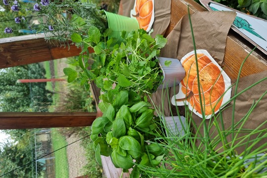 Podzimní slavnost s chutí regionu 1