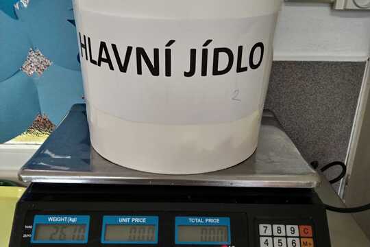 Audit ve školní jídelně 1