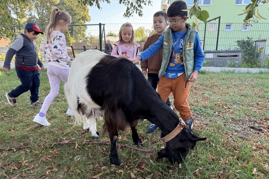 Farmářské dopoledne v MŠ Dobroměřice  1