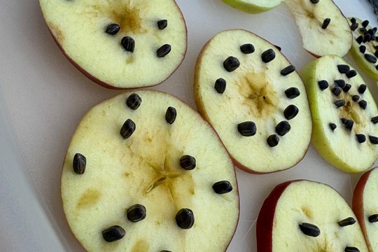 Vnímáme přírodu  1