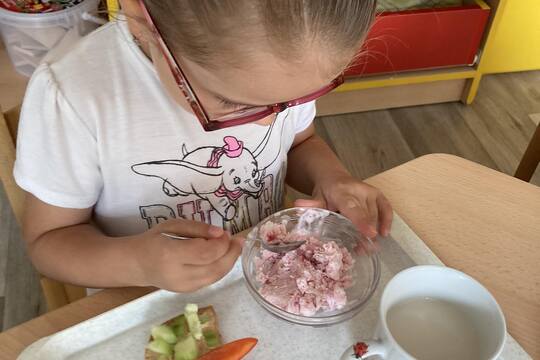 Kytičky z MŠ Kollárova-Domácí tvarohová zmrzlina 1