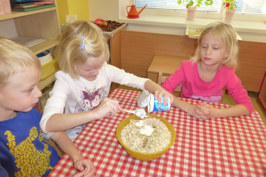 Zdravé ovesné sušenky pečené v zahradní peci 1