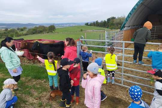 Na farmě 1