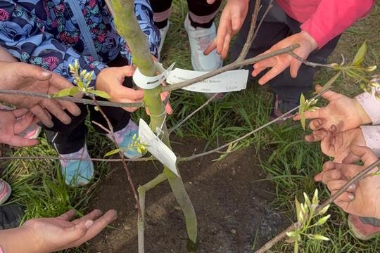 Nový přírůstek  1