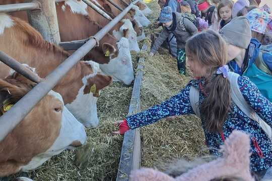 Výlet na Zlatou farmu  1