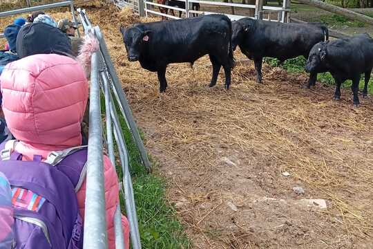 Za poznáním života na bio farmě v Úlovicích Za poznáním života na bio farmě v Úlovicích 1