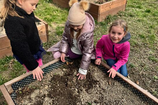 Probouzení záhonků  1