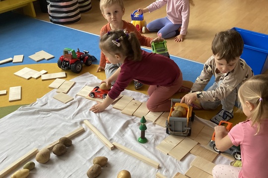 Brambory - Berušky 1