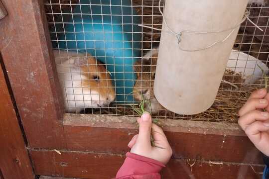 Výlet na Zlatou farmu  1