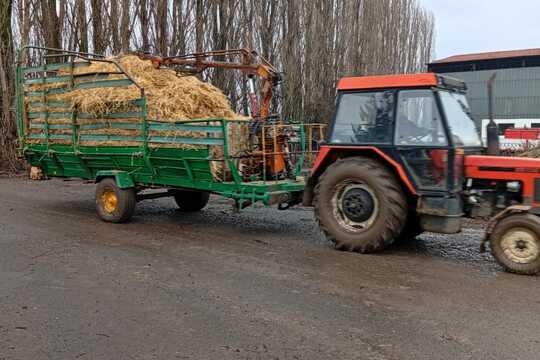 Za zvířaty na Rodinnou farmu Suchý ve Slavětíně Za zvířaty na Rodinnou farmu Suchý ve Slavětíně 1
