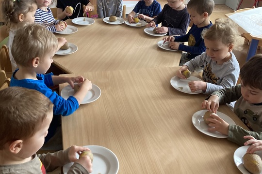 Brambory - Berušky 1