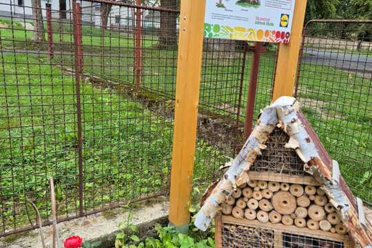 První úroda a péče o zahradu První úroda a péče o zahradu 1