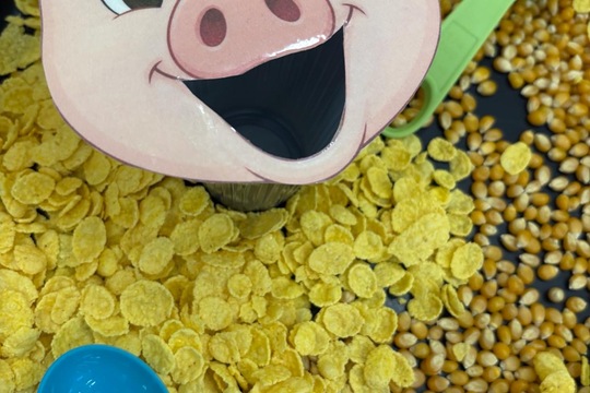 Farma u nás ve třídě  1