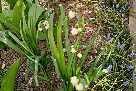 Nezahálíme, a učíme se i na vycházce 1