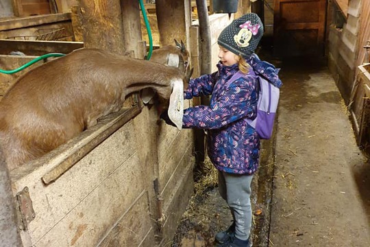 Naši žáci na týdnu s farmářem 1