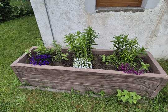 Cesta k jedlé zahradě. Cesta k jedlé zahradě. 1