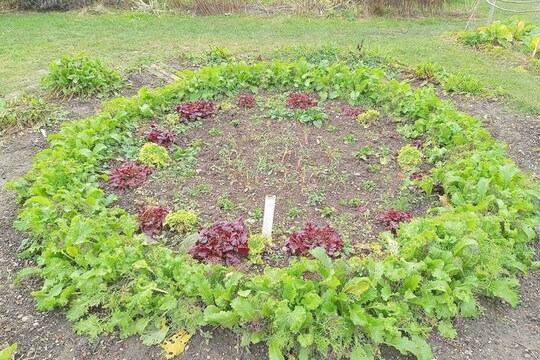 Regionální setkání partnerů a škol v projektu SchoolFood4Change ve Vídni 1