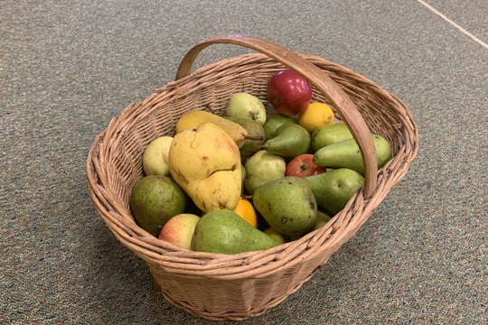 Máme rádi zeleninu - je v ní plno vitamínů Máme rádi zeleninu - je v ní plno vitamínů 1