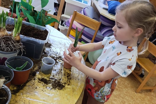 JARNÍ SÁZENÍ NA NAŠÍ ZAHRADĚ 1