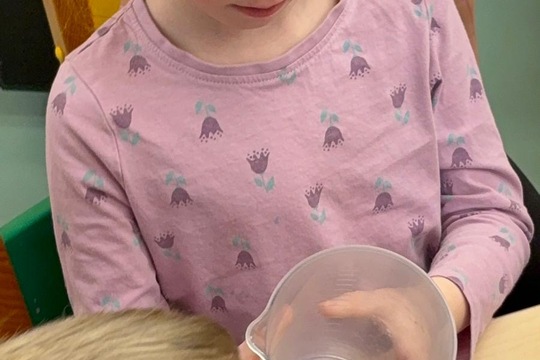 Naše zvířata - naše starost  1