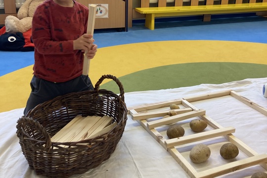 Brambory - Berušky 1