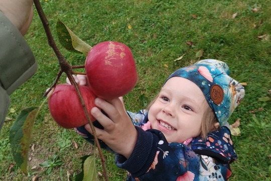 PŘÍPRAVA NA FARMÁŘSKÉ TRHY 1
