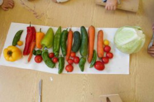Zeleninový a ovocný salát (Motýlci) 1