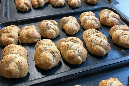 Domácí houstičky 1